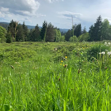 Haus Anna Eg アパート フロイデンシュタット