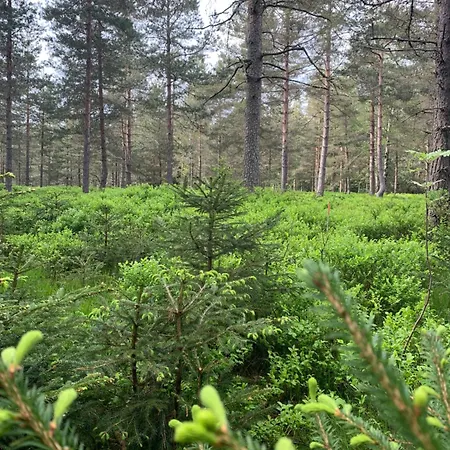 Haus Anna Eg アパート